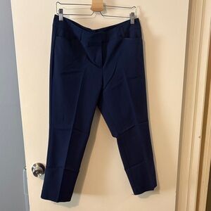 New York & Company Dark Blue Cropped Pants